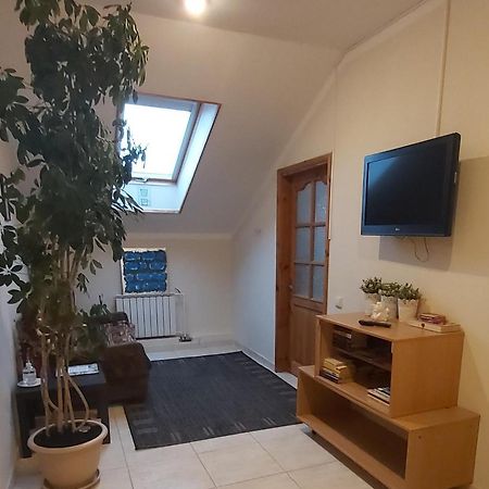 Tiesiog Hostelis Salcininkai エクステリア 写真