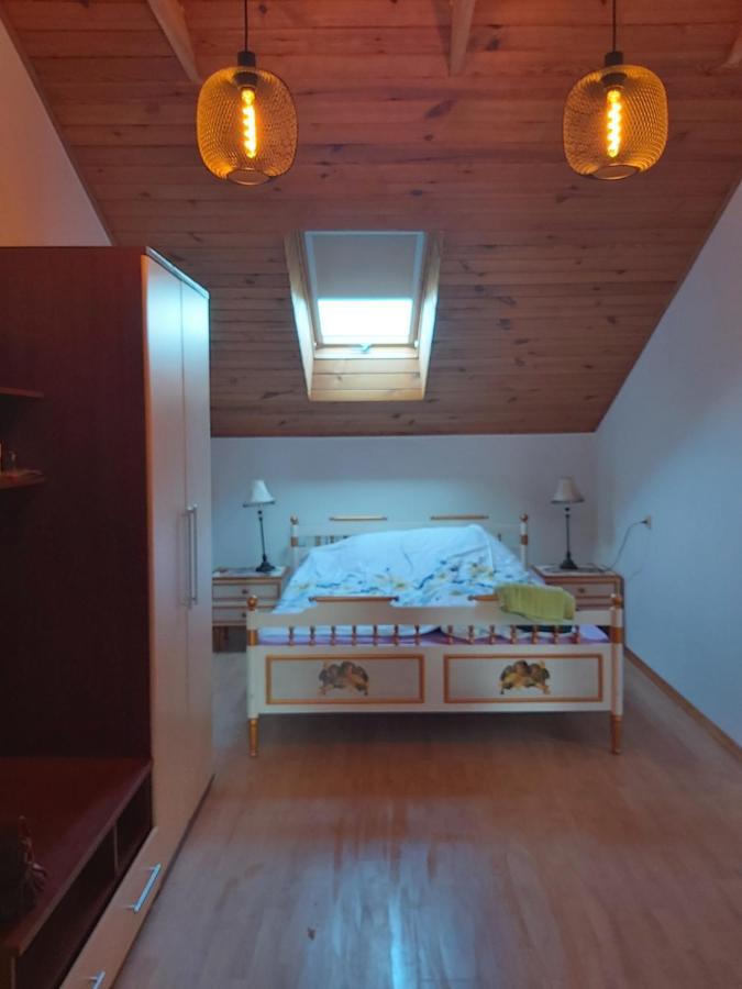 Tiesiog Hostelis Salcininkai エクステリア 写真