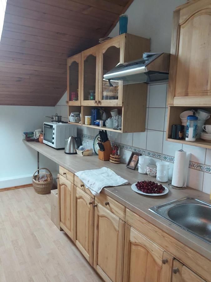 Tiesiog Hostelis Salcininkai エクステリア 写真